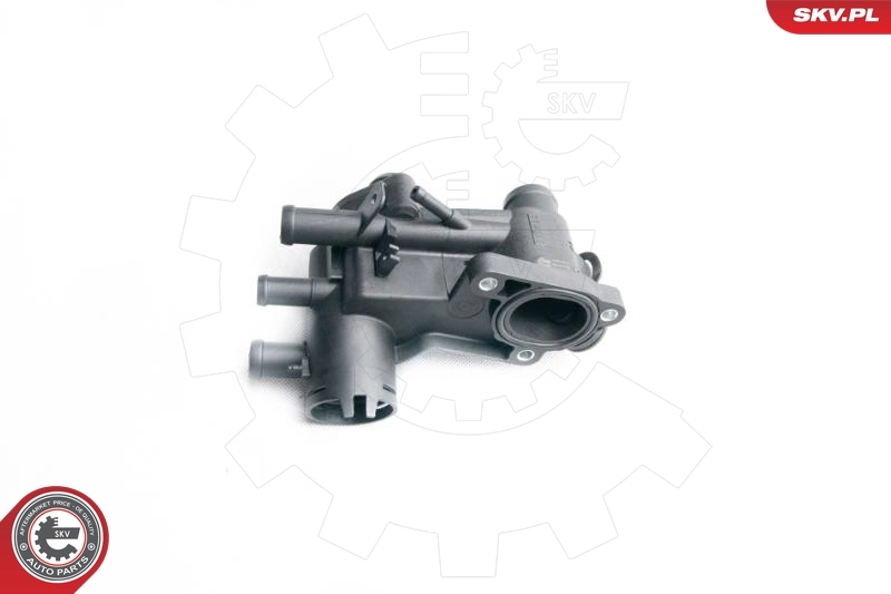 Thermostat, coolant